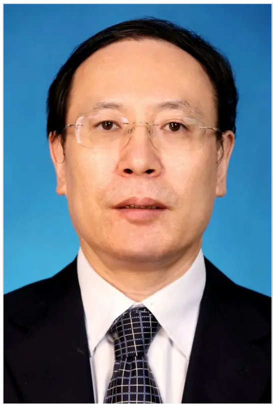Professor Bart Preneel
